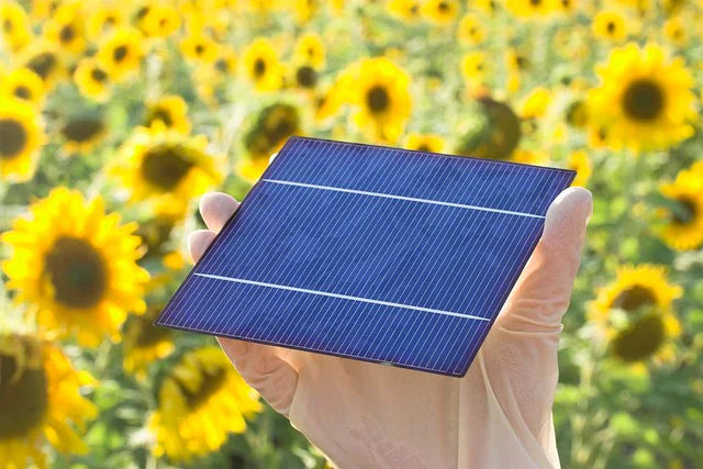 Ihre Solarzelle selber bauen und mehr Energie in Ihr Leben bringen
